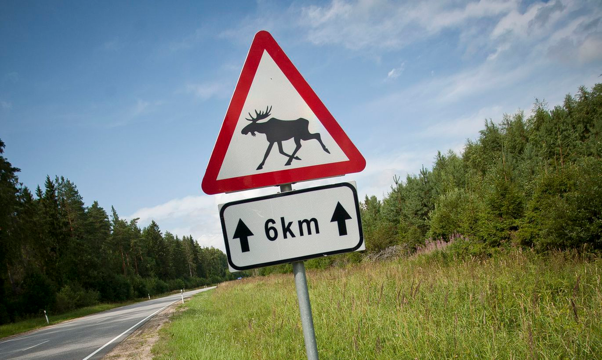 Знак «Дикие животные». иллюстрация из открытых источников.