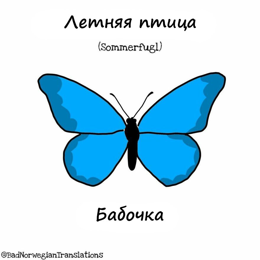 ох уж эти языки