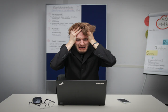 Фото с сайта unsplash.com