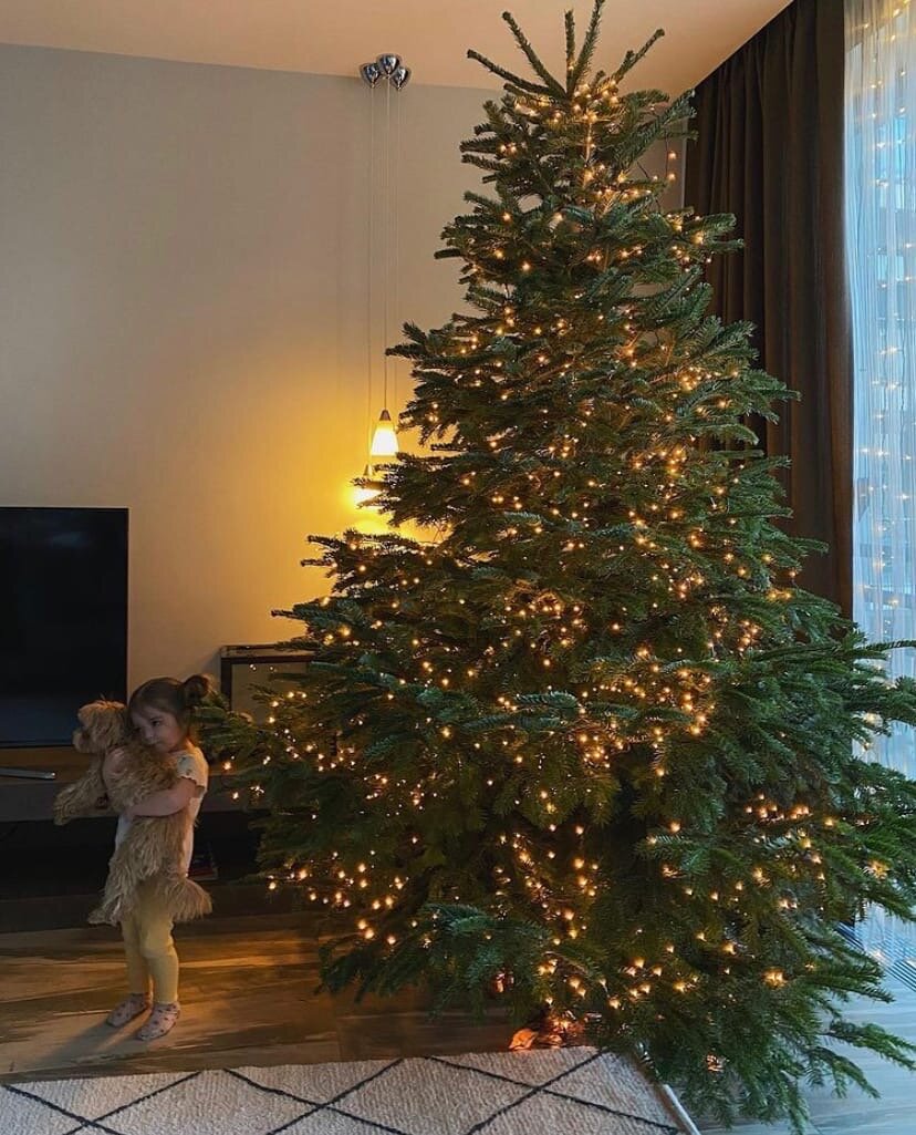 Новогодний вечер