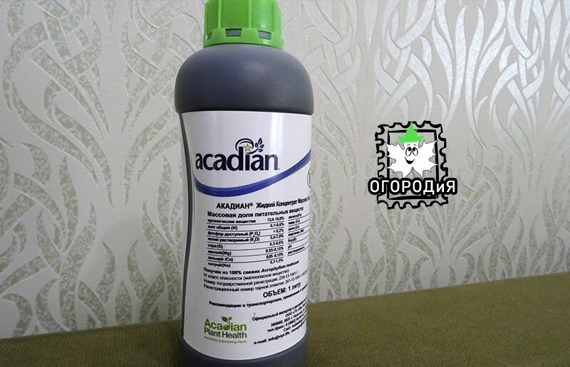 Акадиан, самый дешевый препарат из морских водорослей, экстракт