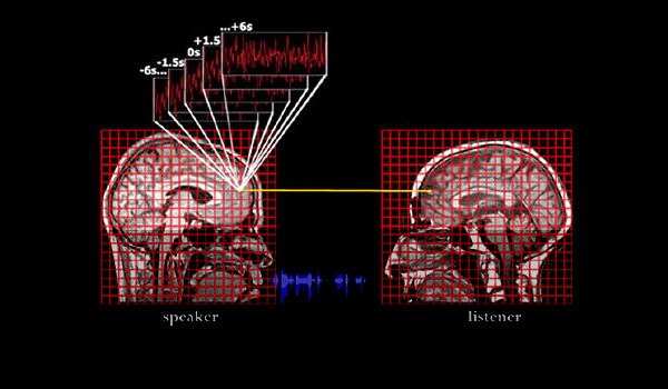 Модель синхронизации нейронной активности. Чем лучше понимание, тем более синхронизованными оказываются процессы в мозгах слушающего и говорящего. Причем происходит не простое отражение, а сложный процесс, разворачивающийся во времени. Мозг слушающего может как отставать на 1-3 секунды от мозга говорящего, так и опережать его.