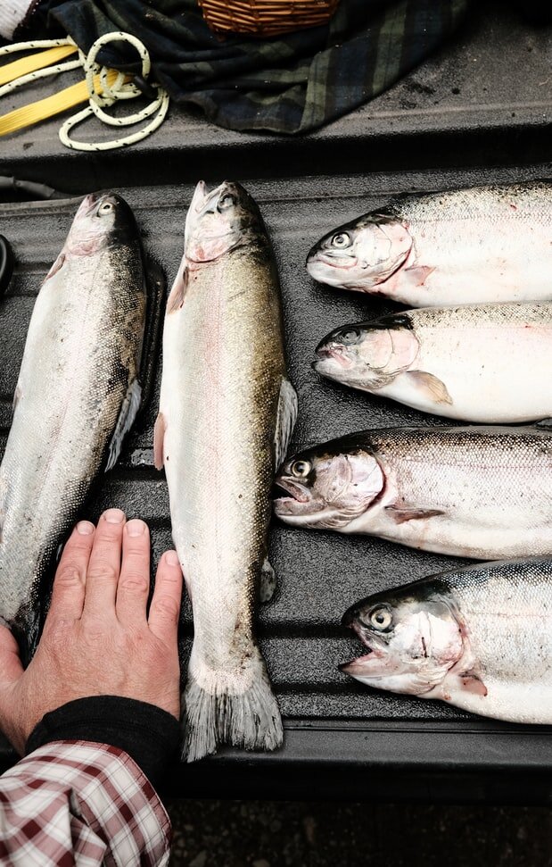 Фото с сайта www.unsplash.com