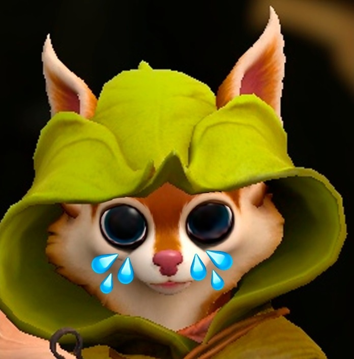 Лицо белочки, когда ты толком не поимбовал, а тебя уже нерфят