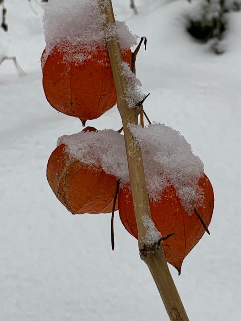 Заглушит боль, а как? Никто не знает…
