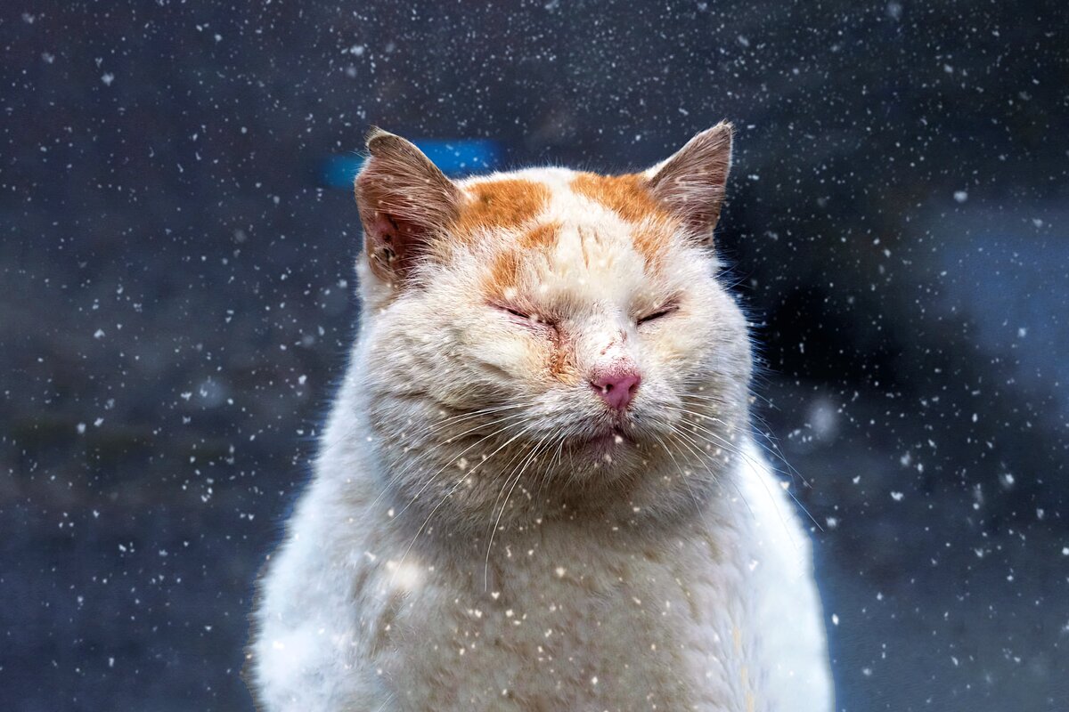 А у тех самых соседей-злопыхателей ещё и доказательства будут.