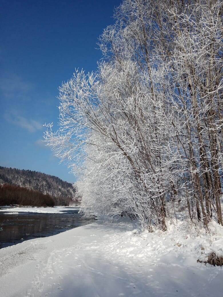 Все фото сделаны мной! Это только начало моей Тайги)