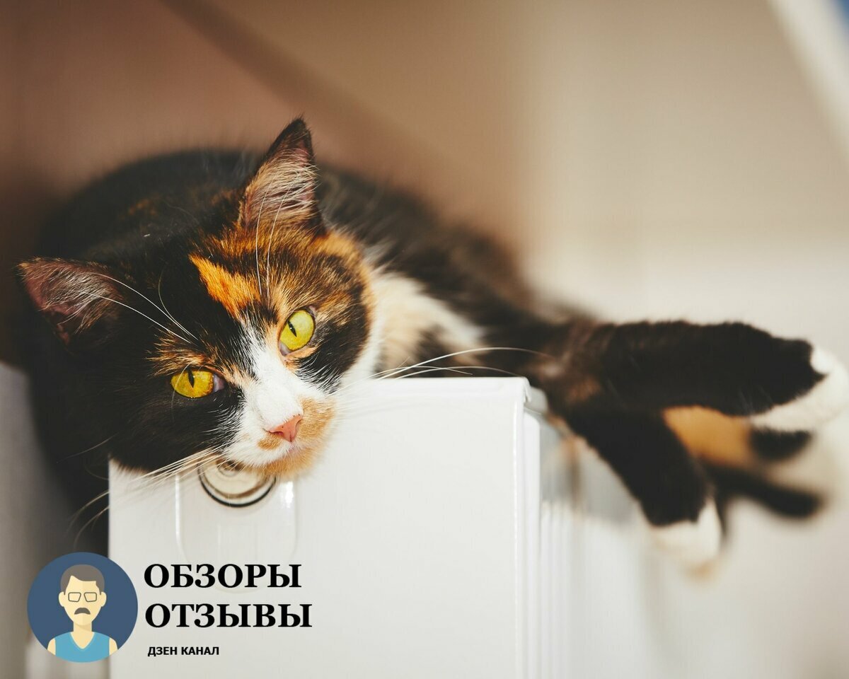 Выбираем энергоэффективные обогреватели
