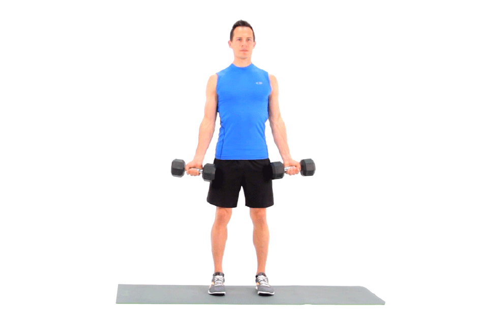 Техника упражнения сгибание рук.