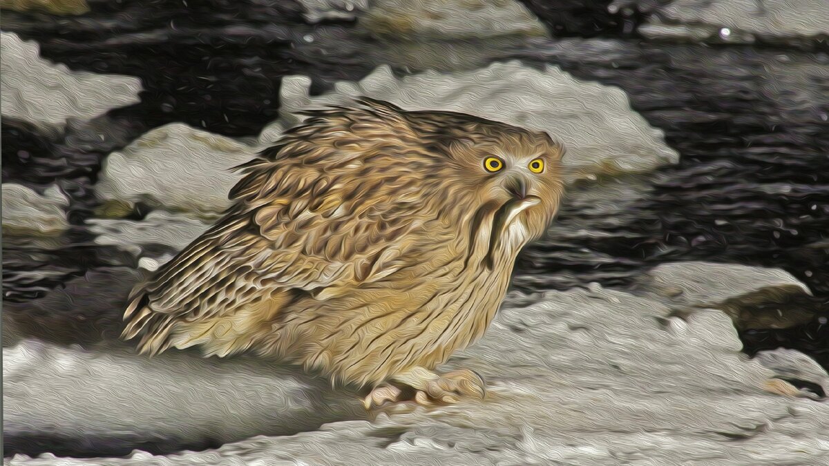 Изображение с сайта web-zoopark.ru 