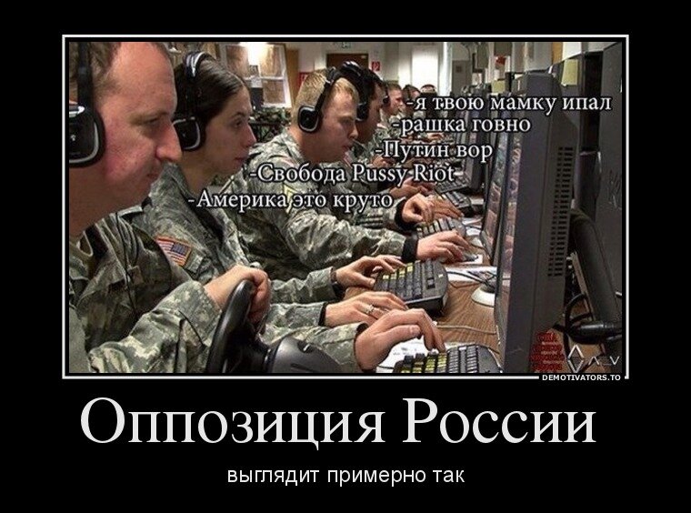 фото из открытых источников