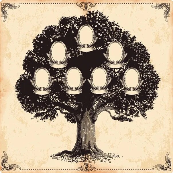 (Картинка из интернета) 