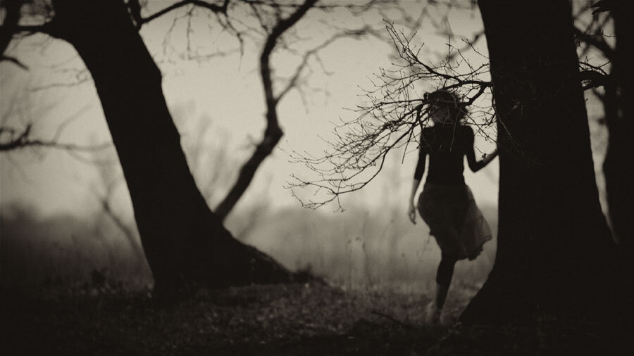 Фото Яндекс.картинки в свободном доступе