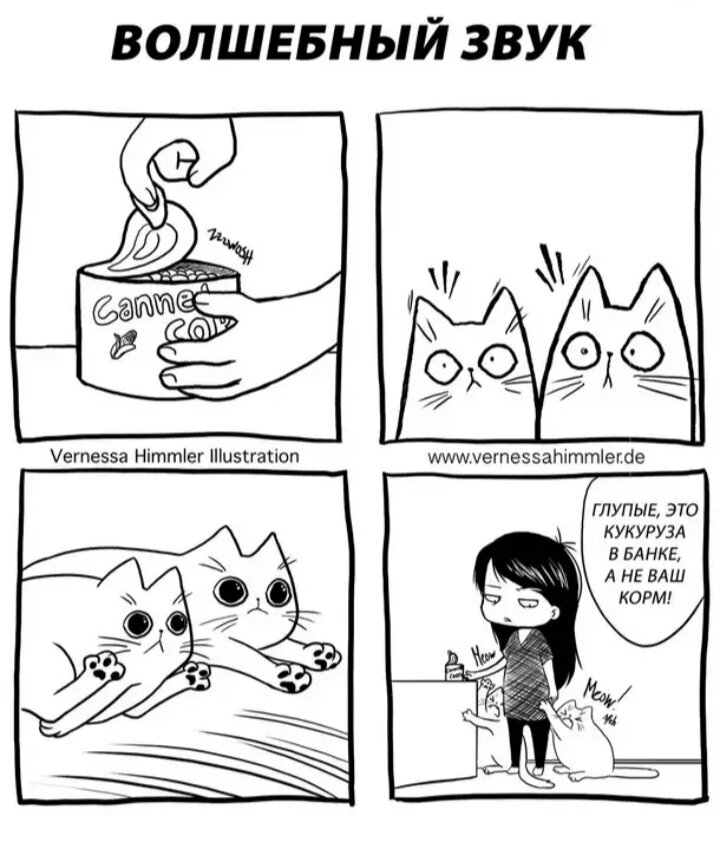 Изображения взяты из интернета 