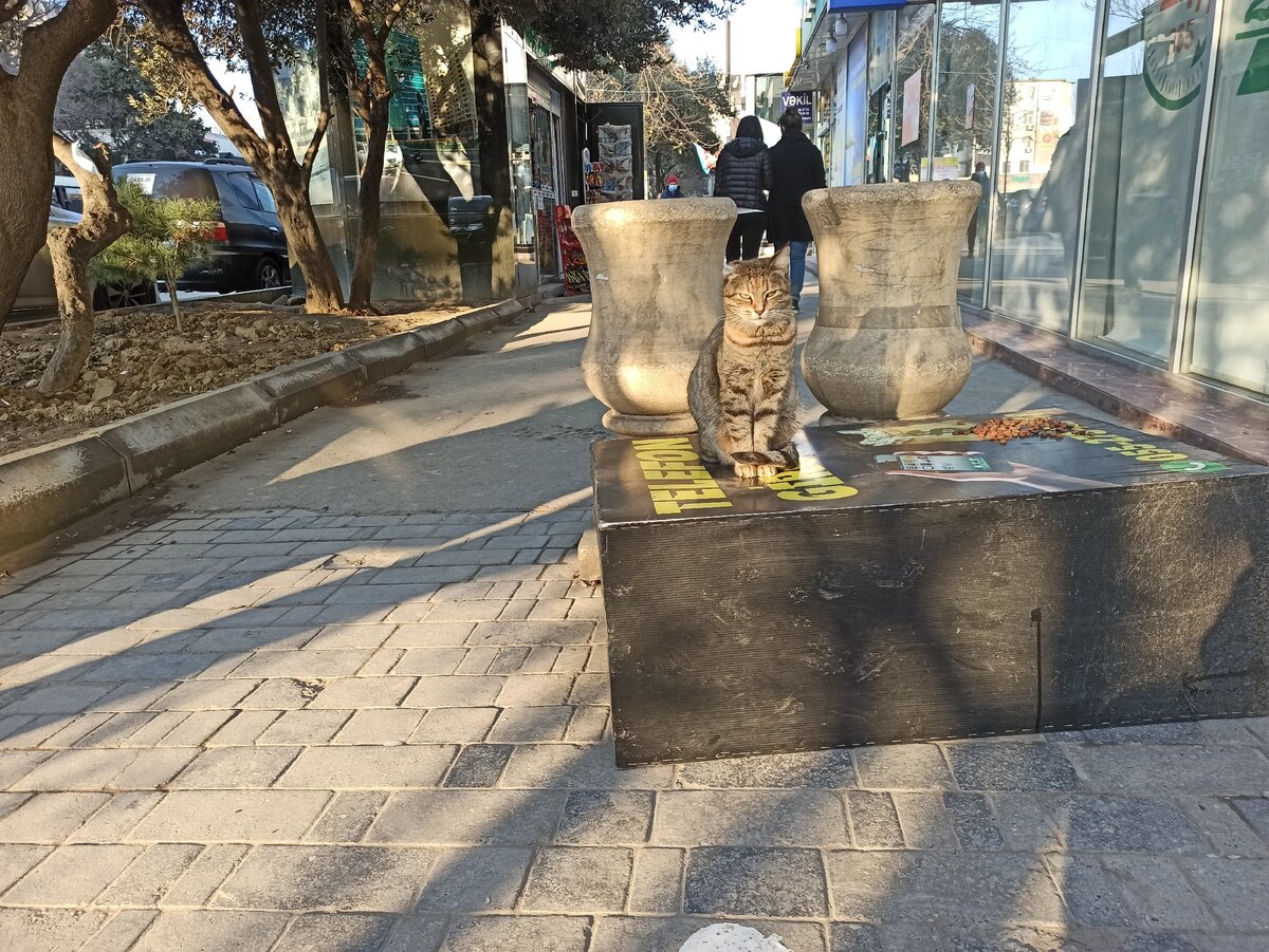 Злая, как чёрт.