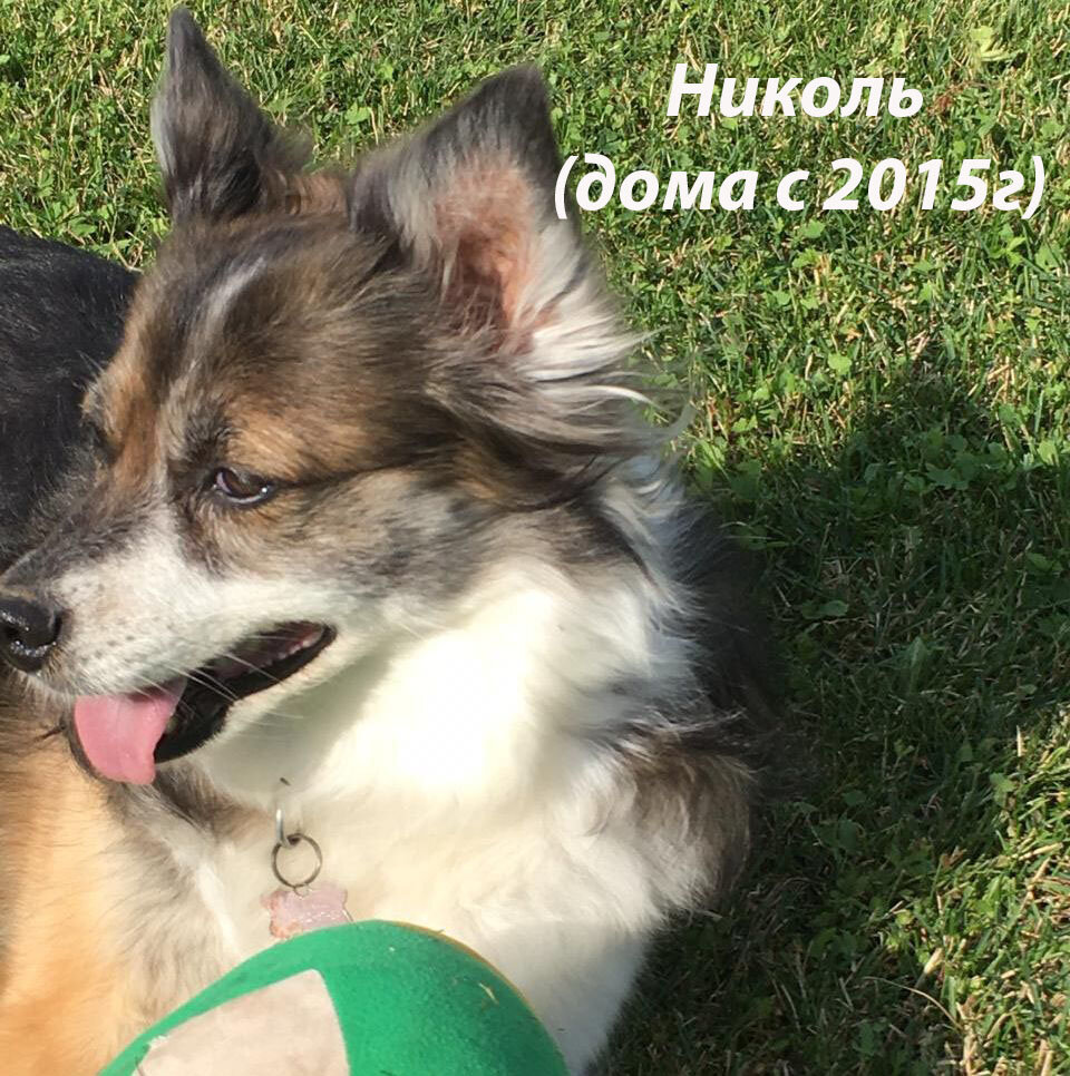 Листайте галерею