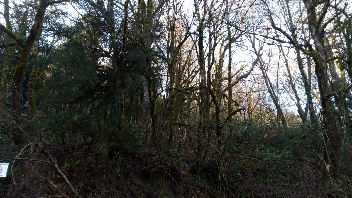 2 января 2021 год Фото автора Каньон Чертовы ворота Хоста /Сочи/