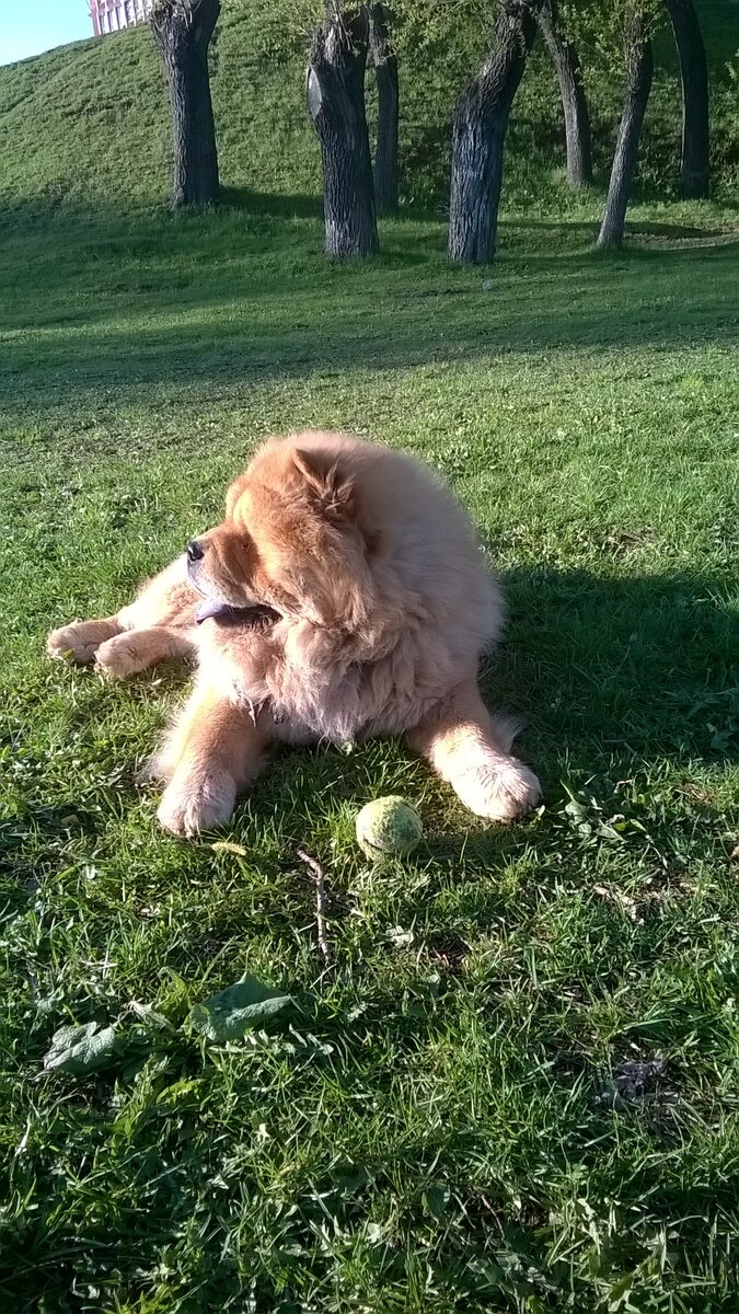 Фото из личного архива