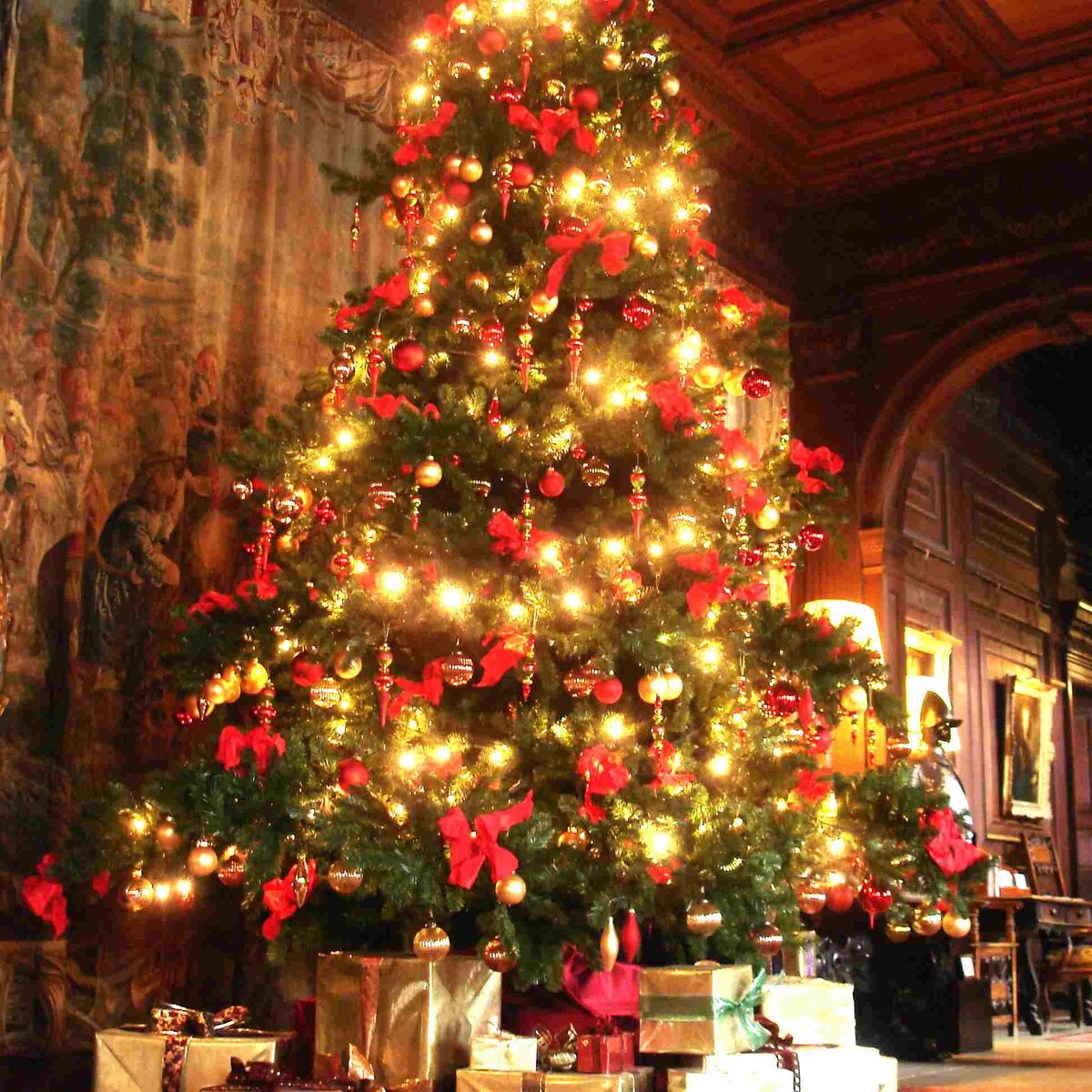 Елка рождественская.