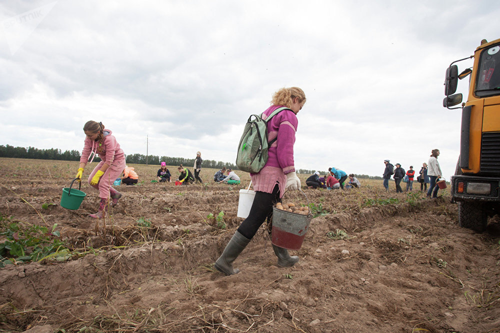 Из свободного источника