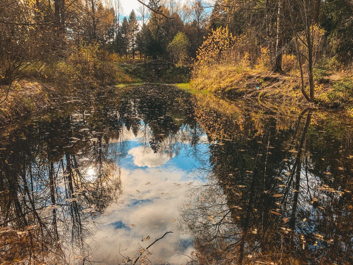 Искусственные пруды.