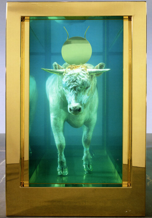 Золотой телец. Дэмиен Херст. 2008. Чучело быка, золото, стекло, позолоченная сталь, силикон, формальдегид, постамент из каррарского мрамора. 215,4 х 320 х 137,2