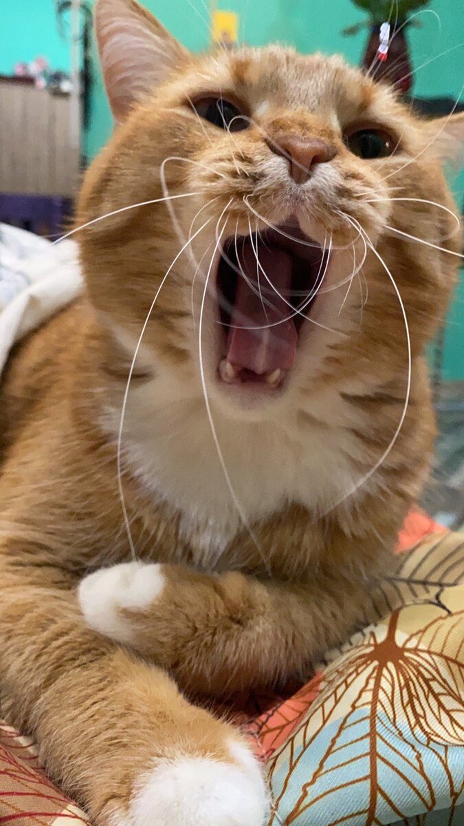 Не выспался