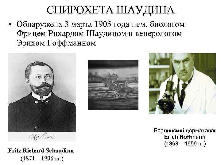 Вот они, борцы с Сифилисом!