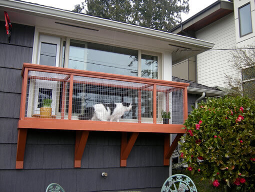 Источник: https://catiospaces.com/catios-cat-enclosures/diy-plans/window-box-sml/