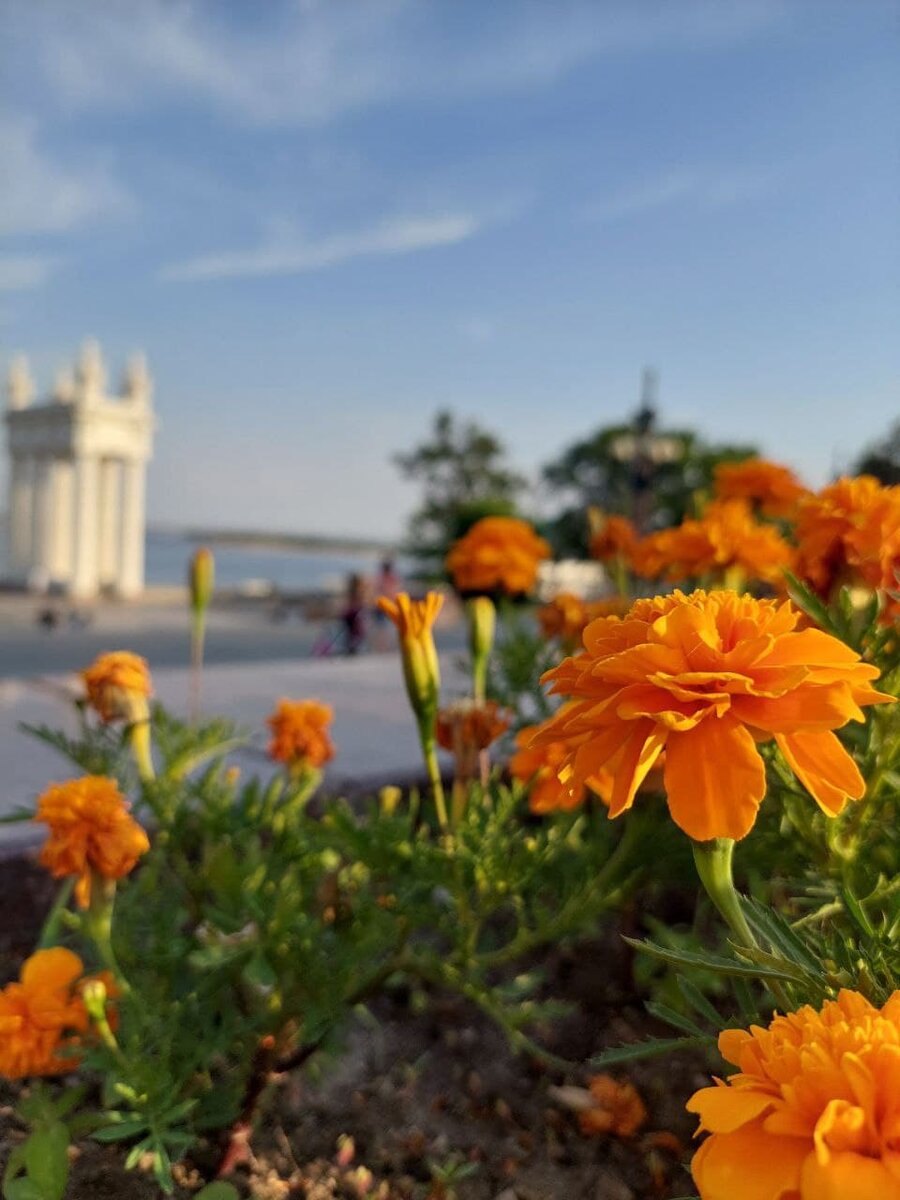 Источник: https://www.instagram.com/volgograd_tatyana/