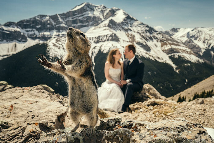Фото: © boredpanda.com