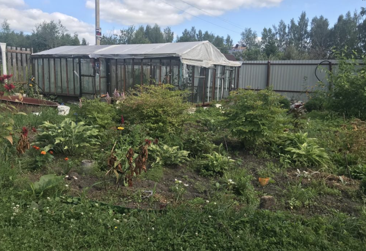 Дача подруги: думаю, подобная есть практически у каждого (или родственников!) Фото автора