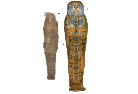 Рисунок 1. Мумия и саркофаг из коллекции Николсона в музее Чау-Чак Винга, Сиднейский университет