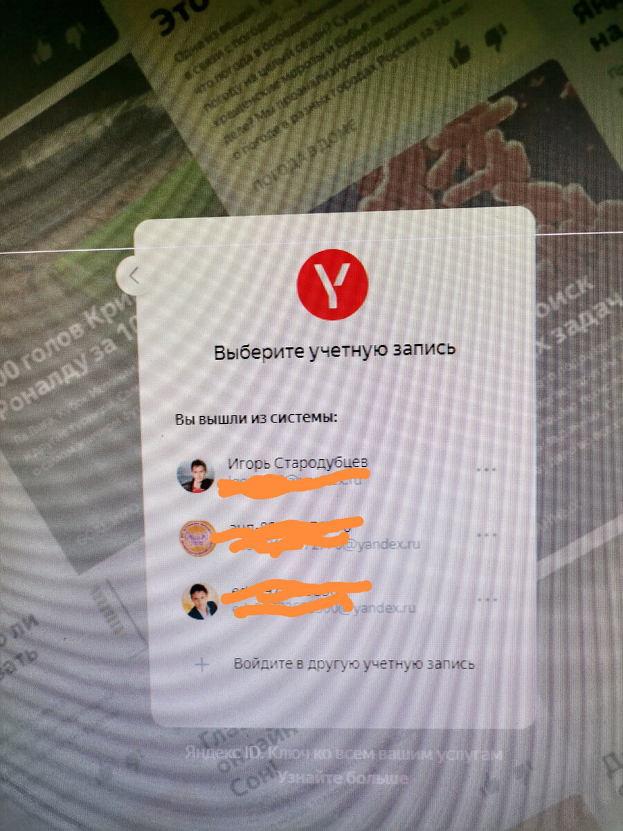 Фото автора с его учетками на платформе