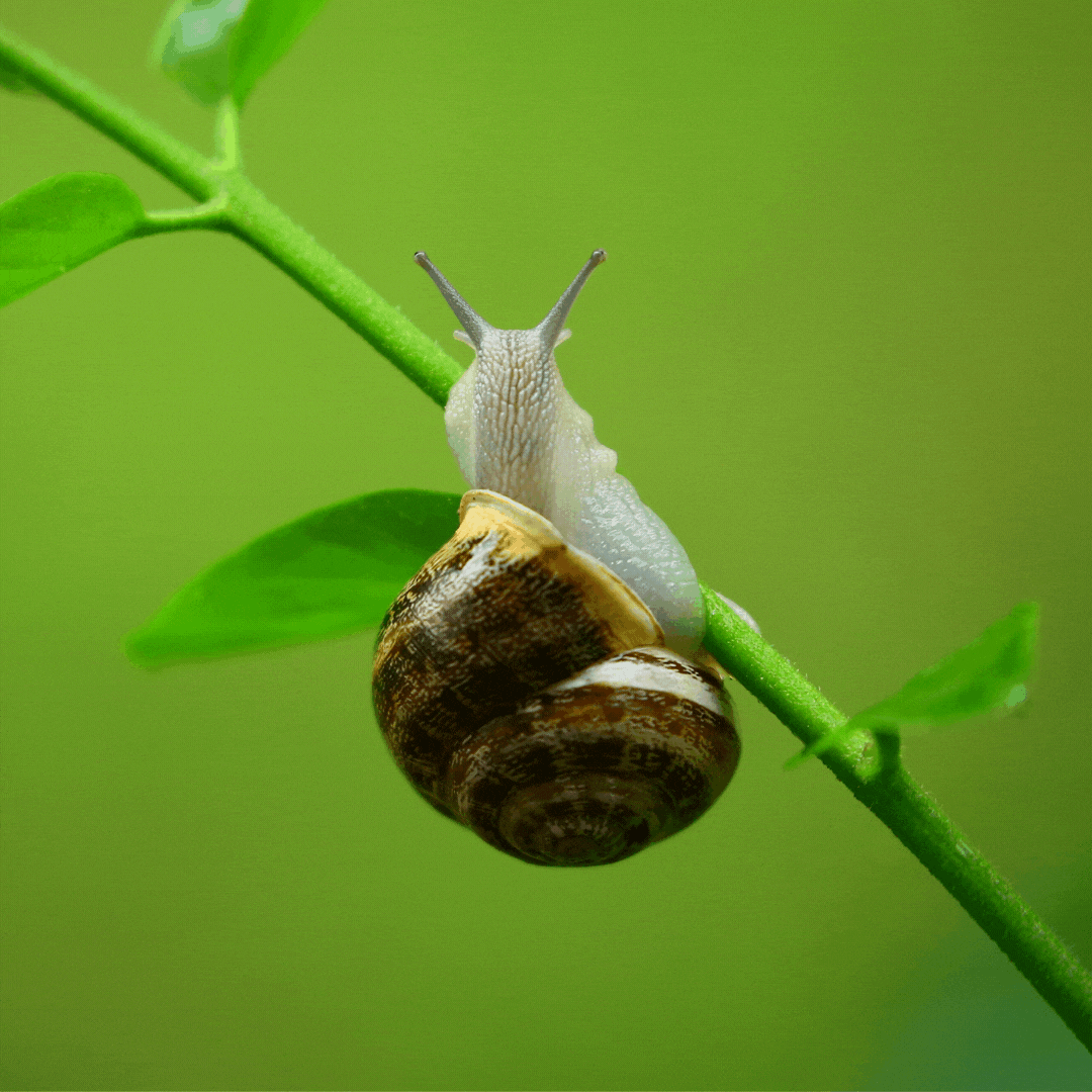 Гель для умывания HISKIN с муцином и сыворотка с муцином и коэнзимом Q10
