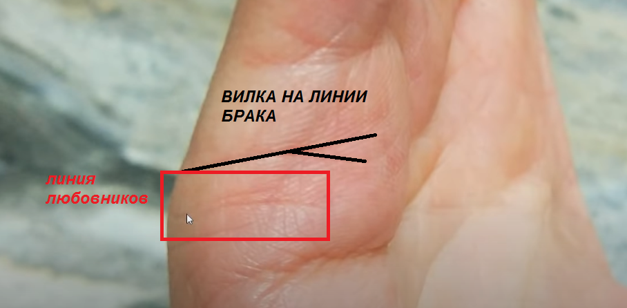 Линия вдовы на руке фото - ViktoriaFoto.ru