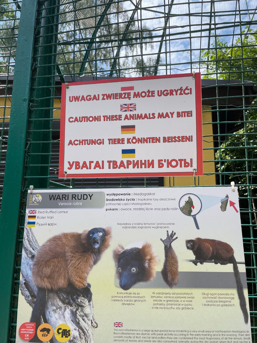 На каких языка написаны вывески в познаньском зоопарке, фото автор