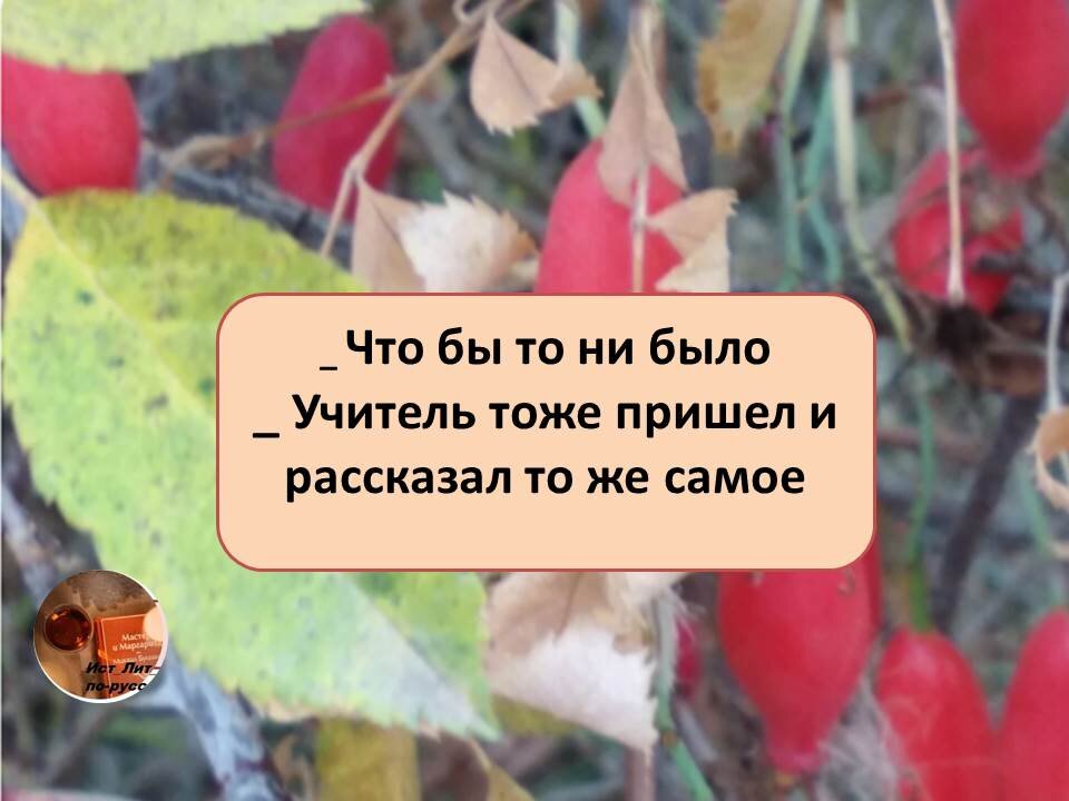 подписывайтесь!