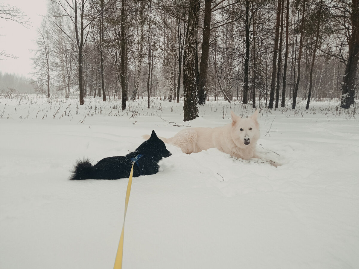 -2
