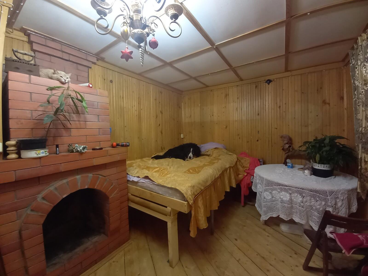 Персик на печке... Волька на кровати... 