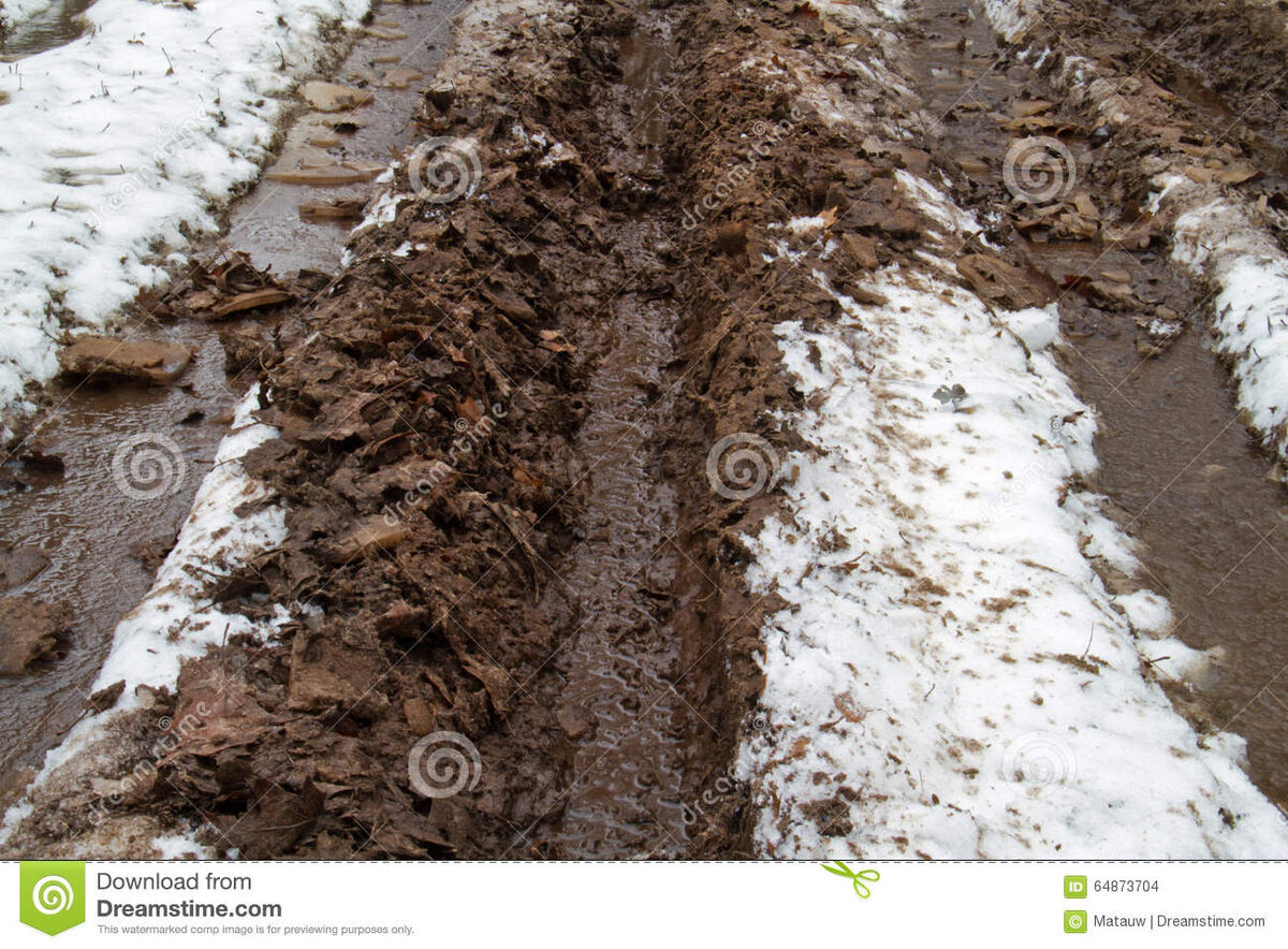 Картинка из интернета. Приблизительно, то самое чернотропье, только след, конечно должен быть не от машины. 