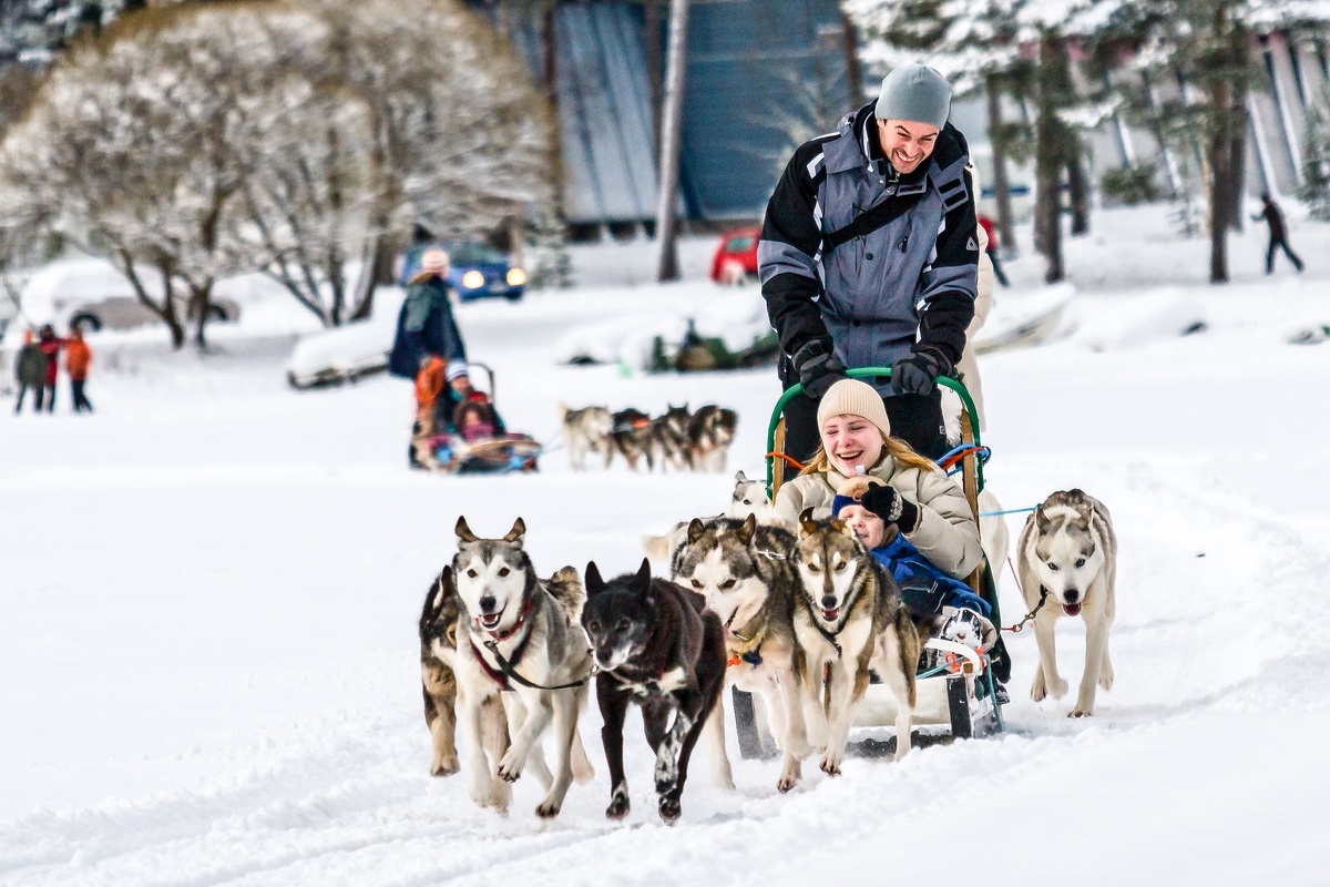Фото: свободные источники.