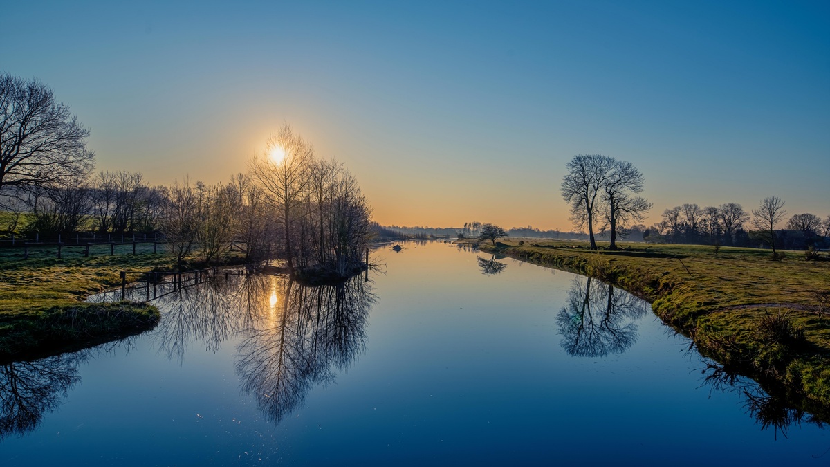 Картинки из интернета