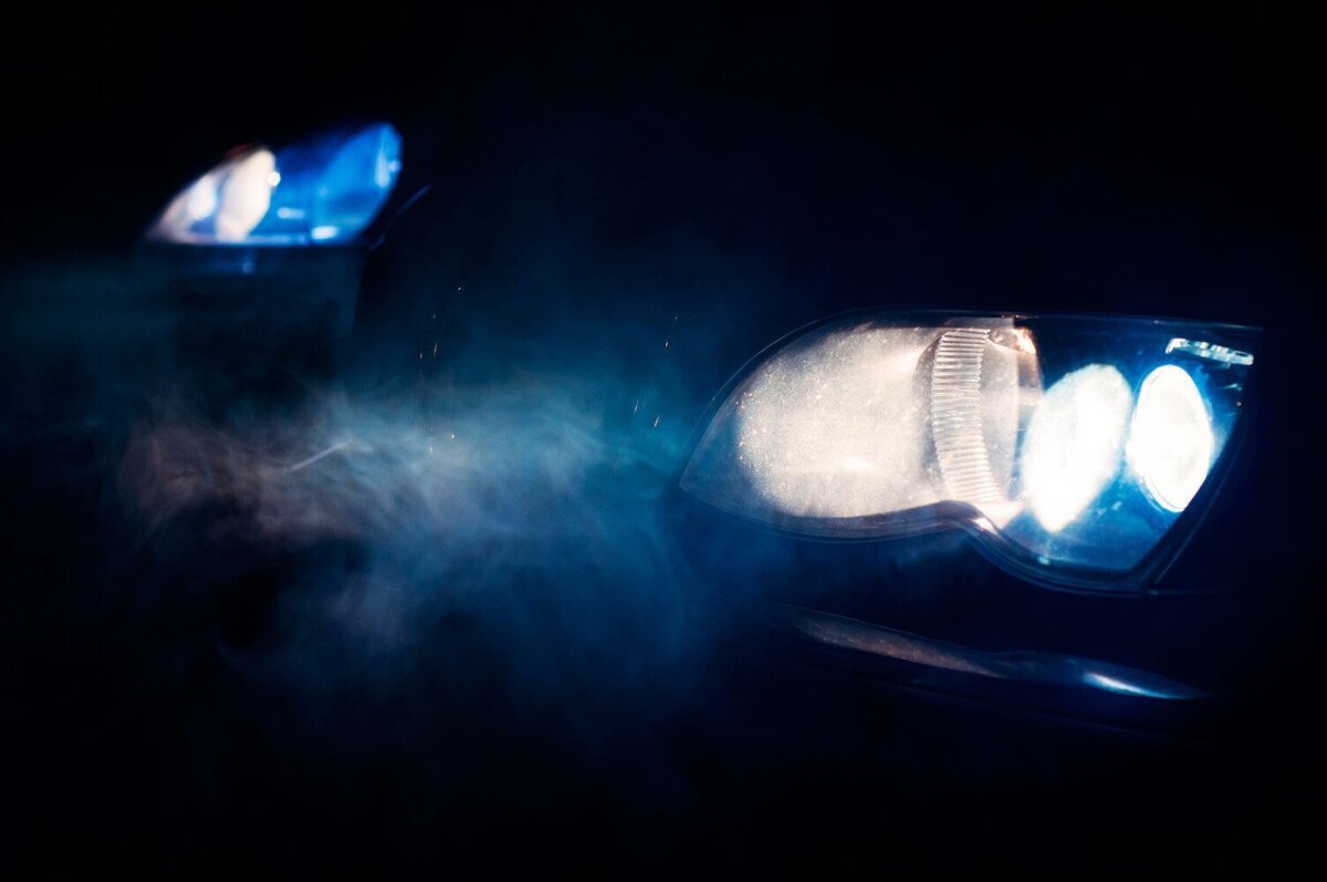 фото взято из открытого источника fishki.net