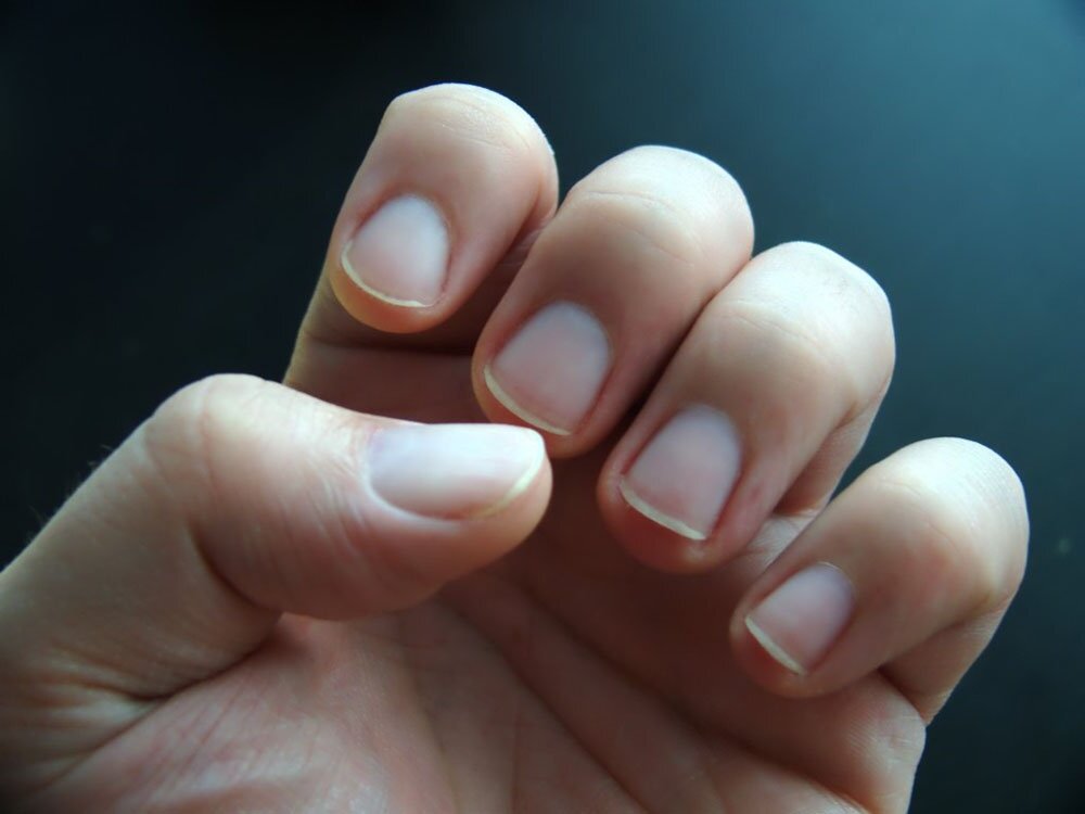 Тест. Психология.