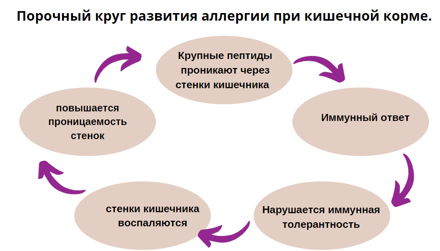 Аллергия на кошек: что делать