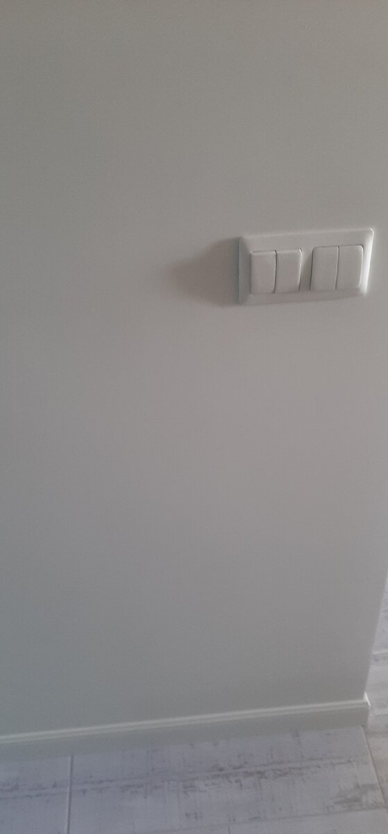 Выключатель, плинтус и стена в один цвет...