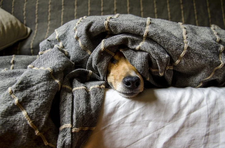 Редактировать галереюДобавьте описание