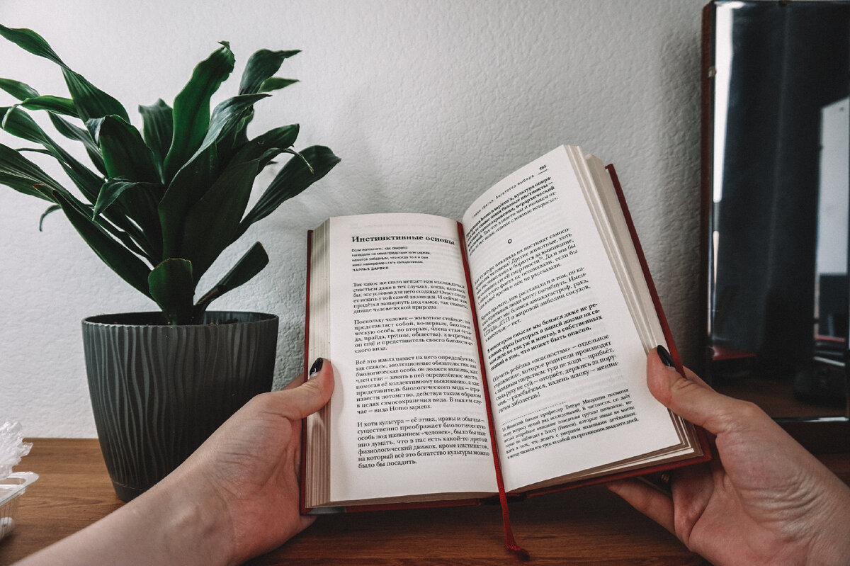 Балуюсь с пресетами в лайтруме на телефоне, решила для себя что сопроводительные фотографии такого плана как этот, не стоят времени потраченного за компьютером 
