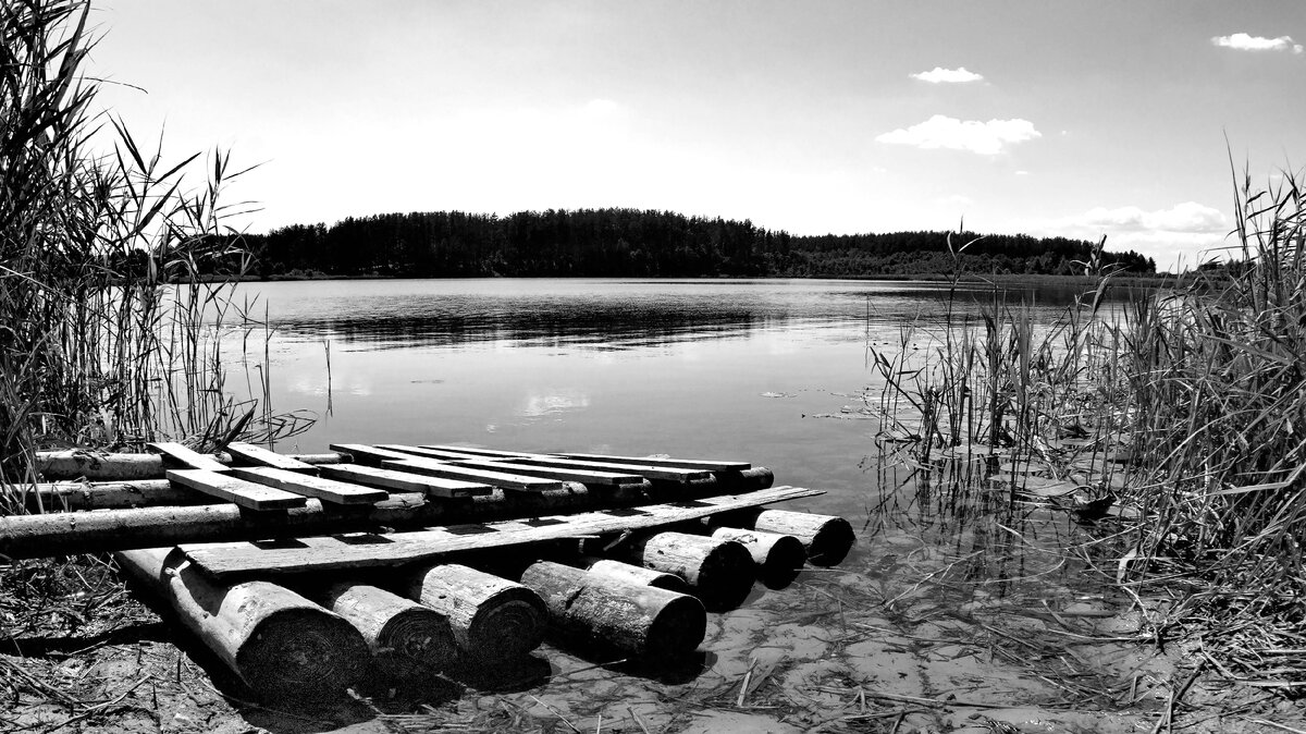 Фото из интернета